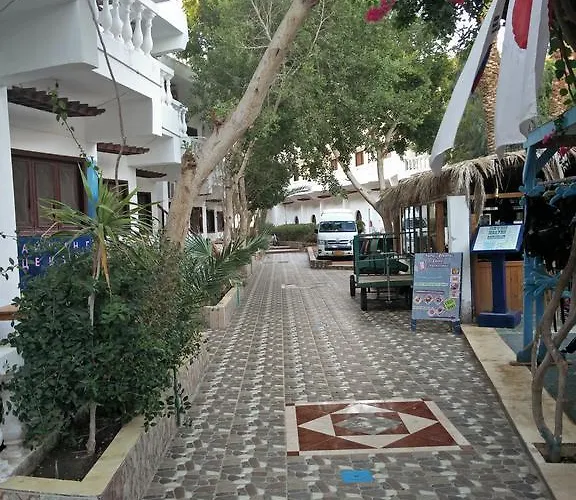 Seven Heaven 2* Dahab